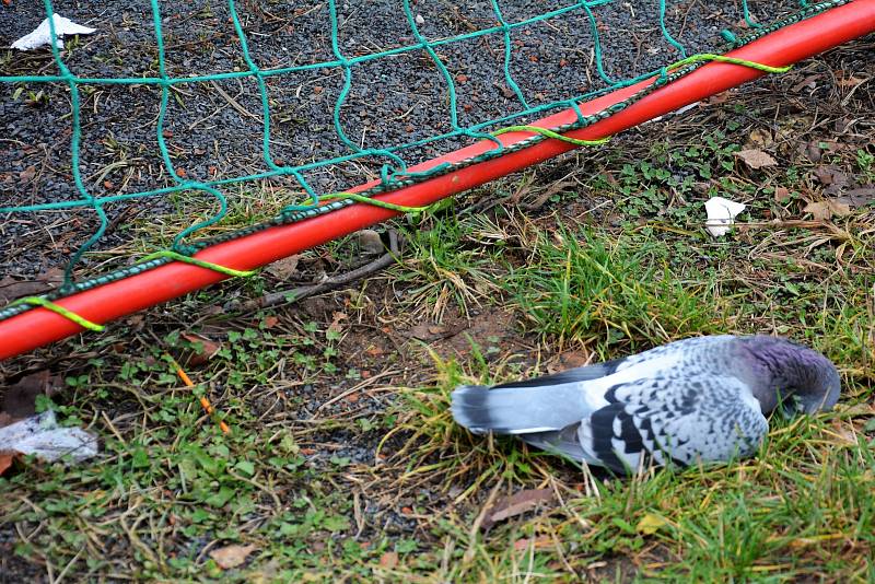 Sídliště Sever v České Lípě - místo, kde vandalové ničí dětské hřiště, proto radní zrušili záměr na jeho vybavení a vybudování.