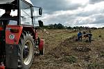 Žáci z oboru zemědělec-farmář českolipského středního odborného učiliště sklízí úrodu brambor na poli, které škola obhospodařuje ve Staré Lípě