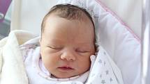 Rodičům Dominice a Peterovi Vajdovým z České Lípy se v pátek 29. března ve 23:24 hodin narodila dcera Viola Vajdová. Měřila 51 cm a vážila 3,70 kg.