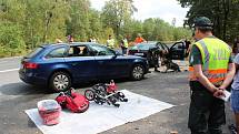 Festival provázely už od čtvrtečního odpoledne rozsáhlé policejní kontroly u silnic kolem Doks, ale nově také na vlakovém nádraží i přímo ve vlacích.