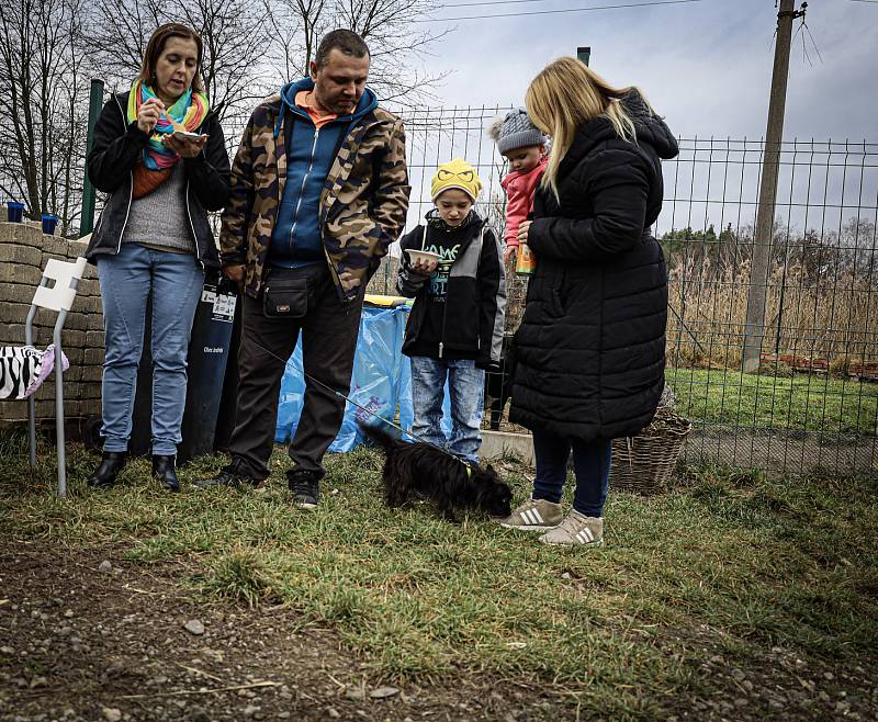 V útulku Dogsy pokřtili benefiční kalendář.