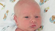 Rodičům Michele a Jindřichu Linkovým z České Lípy se v úterý 11. června v 8:56 hodin narodil syn Adam Linka. Měřil 49 cm a vážil 3,13 kg.