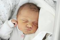 Rodičům Natálii Němcové a Pavlu Myšákovi z Varnsdorfu se v sobotu 17. prosince v 17:06 hodin narodila dcera Sára Němcová. Měřila 49 cm a vážila 3,22 kg.