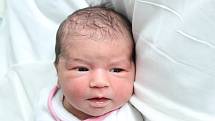 Mamince Denise Kavúrové z Rumburku se v pondělí 26. září v 7:07 hodin narodila dcera Denisa Kavúrová. Měřila 48 cm a vážila 3,17 kg.