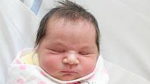 Rodičům Pavlíně Holečkové a Michalu Kováčovi z Mimoně se v pondělí 8. dubna v 10:45 hodin narodila dcera Patricie Holečková. Měřila 50 cm a vážila 3,46 kg.