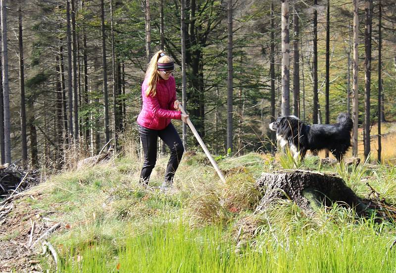 Den za obnovu lesa u Svoru na Českolipsku