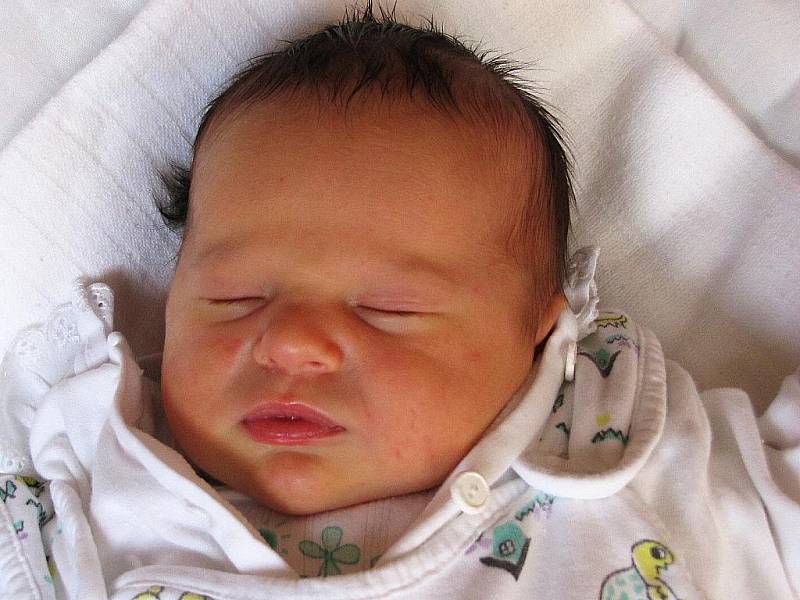 Mamince Zdence Čadilové se 21. ledna ve 14:34 hod. narodil syn Milan Sehnoutek. Měřil 50 cm a vážil 3,61 kg.