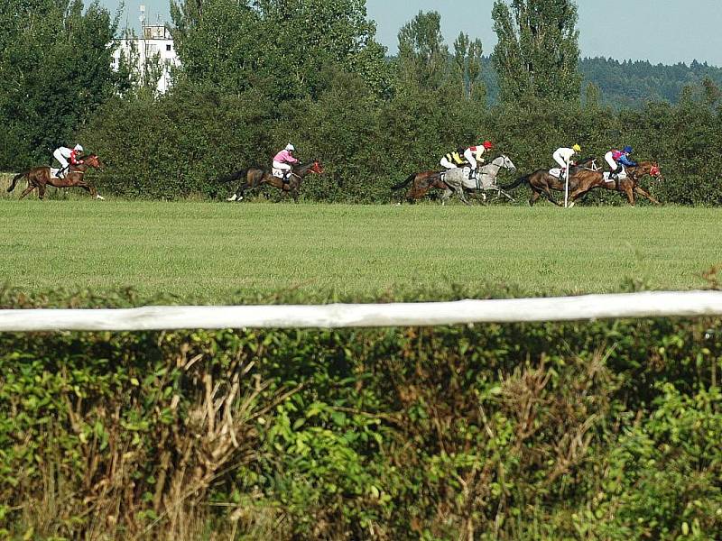 Sedm rovinných a stejný počet překážkových dostihů viděli návštěvníci víkendových Dnů města Mimoně, které se tradičně konaly v místním dostihovém areálu. V bohatém programu nechyběla soutěž o nejhezčí klobouk.