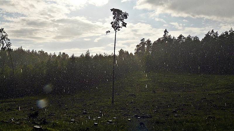 Výletníky neodradila od nočního výstupu na Bezděz ani nepřízeň počasí.