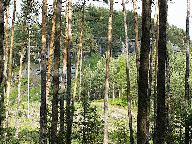 Výletníky neodradila od nočního výstupu na Bezděz ani nepřízeň počasí.