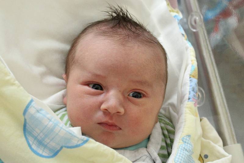 Rodičům Petře a Pavlovi Vyoralovým ze Sosnové se v pondělí 28. listopadu v 15:02 hodin narodil syn Štěpán Vyoral. Měřil 52 cm a vážil 4,24 kg.