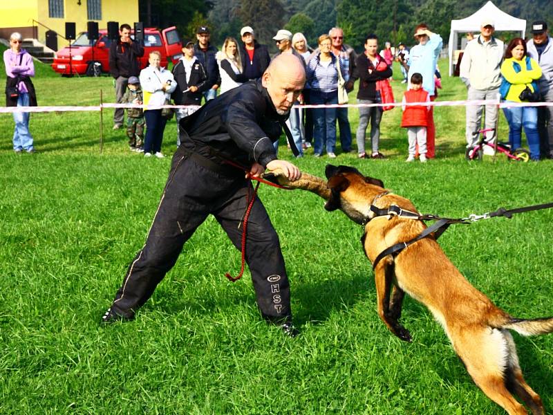 Kynologický den v Brništi. 