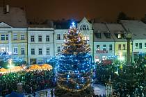 Slavnostní rozsvícení vánočního stromu v České Lípě.