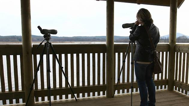 Ptačí pozorovatelna na Novozámeckém rybníku začala sloužit návštěvníkům.