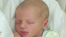 Mamince Tereze Therové z České Lípy se ve středu 21. ledna ve 4:55 hodin narodil syn Davídek Černý. Měřil 48 cm a vážil 2,95 kg.