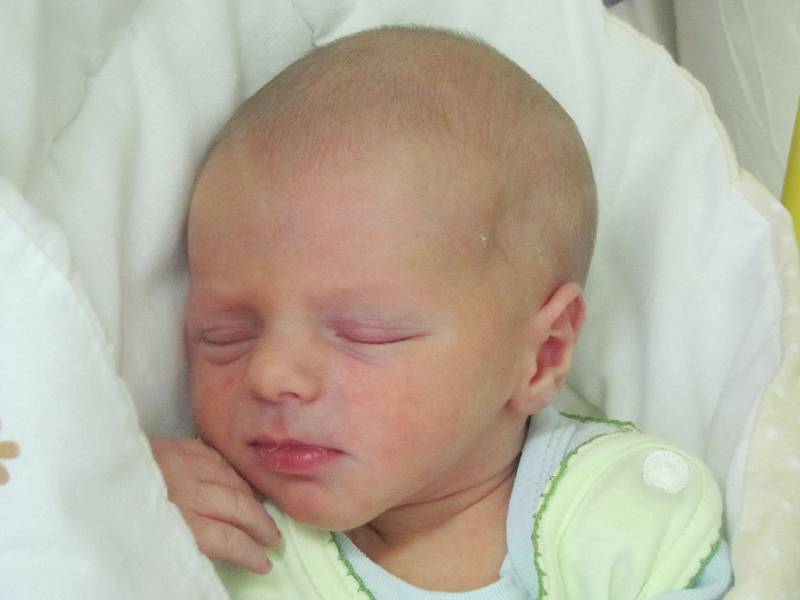 Mamince Tereze Therové z České Lípy se ve středu 21. ledna ve 4:55 hodin narodil syn Davídek Černý. Měřil 48 cm a vážil 2,95 kg.