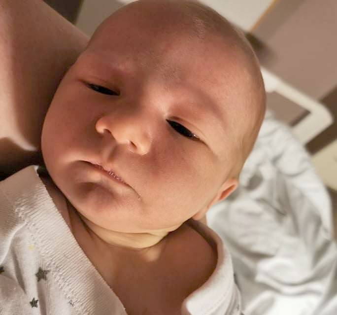 Rodičům Michaele a Radkovi Polákovým ze Stráže pod Ralskem se v liberecké porodnici ve středu 8. července ve 14:15 hodin narodil syn Viktor Polák. Měřil 50 cm a vážil 3,36 kg.
