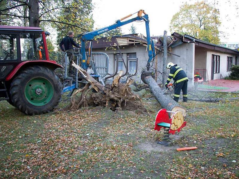 Kvůli silnému větru vyráželi hasiči k popadaným stromům.