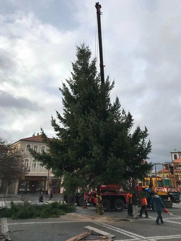 Vánoční strom zdobí českolipské náměstí.