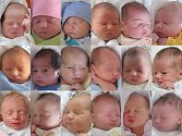 V českolipské porodnici přišlo loni na svět 896 dětí. O dvě více než v předešlém roce. 