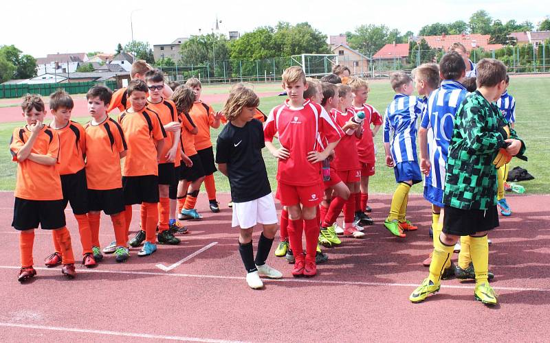 McDonald's Cup v Zákupech pro žáky 4. 5. tříd základních škol.