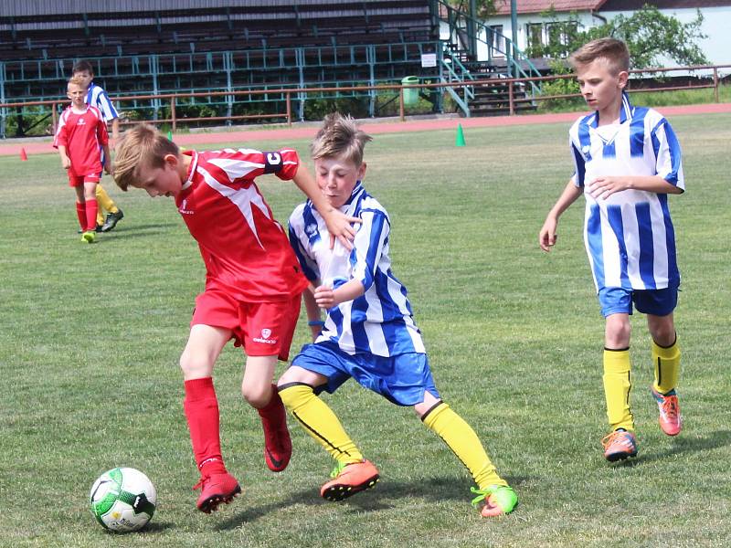 McDonald's Cup v Zákupech pro žáky 4. 5. tříd základních škol.