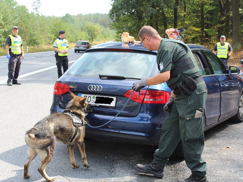 Festival provázely už od čtvrtečního odpoledne rozsáhlé policejní kontroly u silnic kolem Doks, ale nově také na vlakovém nádraží i přímo ve vlacích.