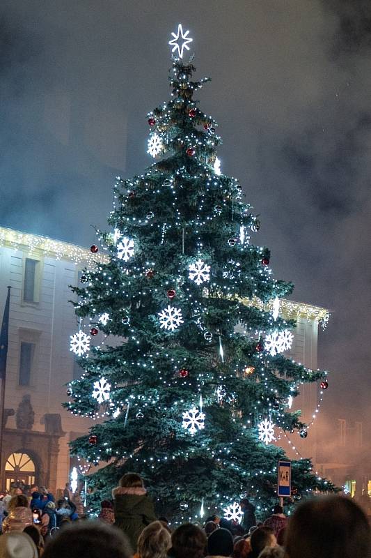 Vánoční strom v Novém Boru