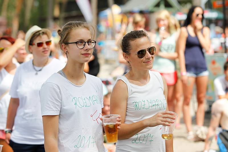 Hudba, pohoda i déšť. Sobotní festival Rozmarné léto na pláži Klůček u Máchova jezera nabídl vše, co k takové pravé letní akci patří.