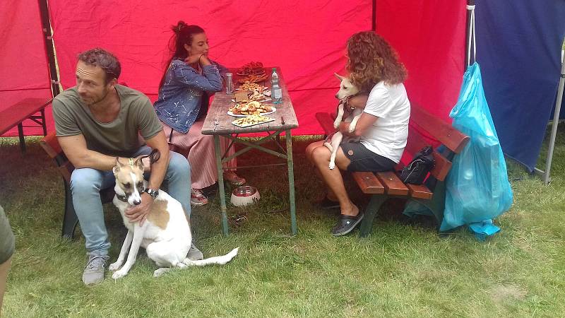 Festival podpořil útulek. Na snímku Gump - pes, který naučil lidi žít.
