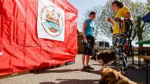 Ve Stráži pod Ralskem se konal orientační pochod se psy - Strážský dogtrek. Na trasu dlouhou 12 km se přihlásilo na dvě stovky účastníků.