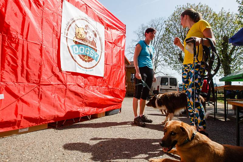 Ve Stráži pod Ralskem se konal orientační pochod se psy - Strážský dogtrek. Na trasu dlouhou 12 km se přihlásilo na dvě stovky účastníků.