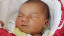 Rodičům Nikole Rakošové a Milanu Ficzuovi z České Lípy se v neděli 4. března v 9:04 hodin narodila dcera Amy Rakošová. Měřila 47 cm a vážila 3,08 kg.