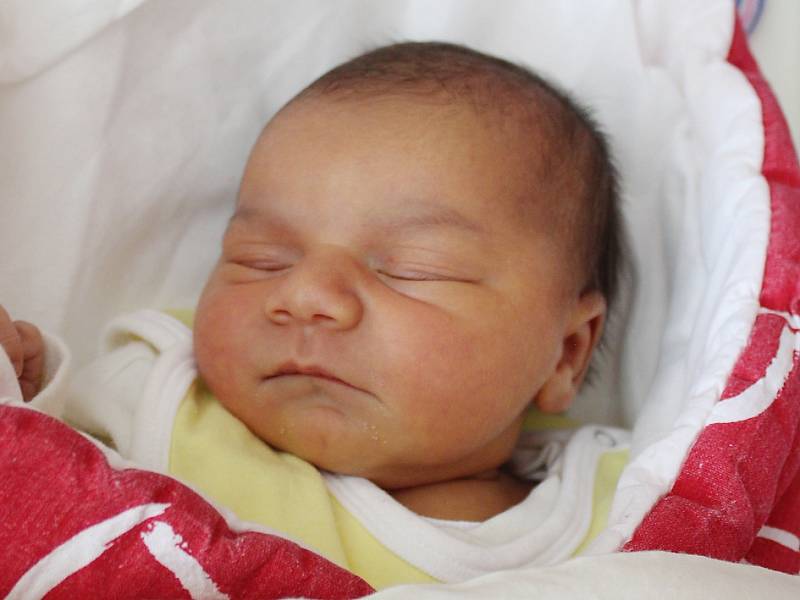 Rodičům Nikole Rakošové a Milanu Ficzuovi z České Lípy se v neděli 4. března v 9:04 hodin narodila dcera Amy Rakošová. Měřila 47 cm a vážila 3,08 kg.
