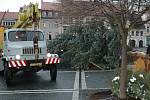 Na českolipském náměstí spadl velký vánoční strom