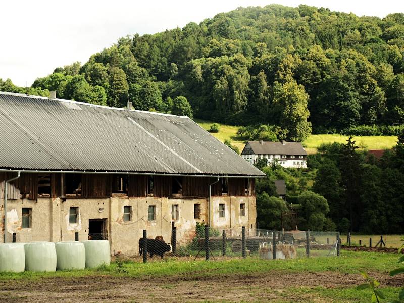 Dva roky zde funguje sociální farma, která pomáhá lidem zpět do života a v budoucnu by se měla stát významným centrem tradičního zemědělství. 