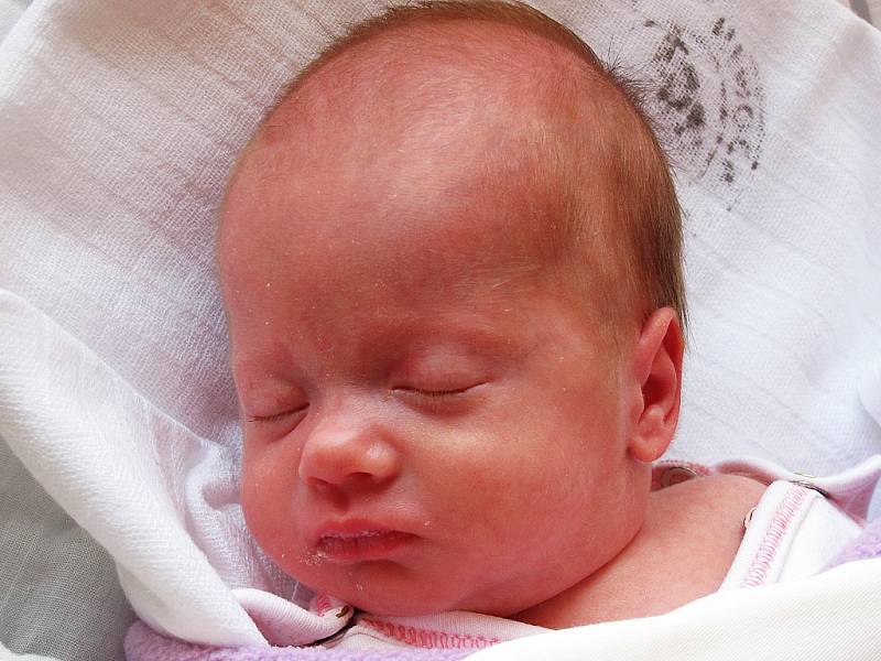 Mamince Anitě Novákové z České Lípy se 1. února narodila dcera Michaela Nováková. Měřila 43 cm a vážila 1,63 kg.