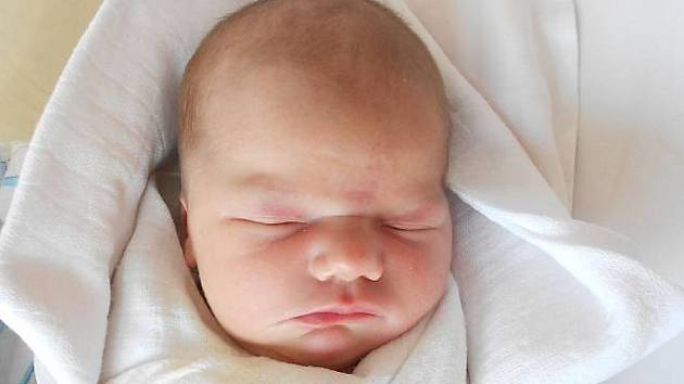 Rodičům Michaele a Adamovi se v neděli 7. listopadu v 11:01 hodin narodila dcera Adina Bečková. Měřila 50 cm a vážila 3,58 kg.