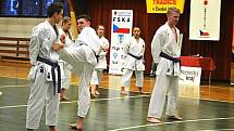 Sport Relax pořádal seminář s názvem Karate nás baví.