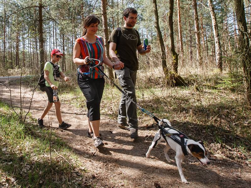 Ve Stráži pod Ralskem se konal orientační pochod se psy - Strážský dogtrek. Na trasu dlouhou 12 km se přihlásilo na dvě stovky účastníků.