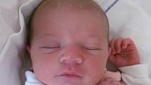 Mamince Petře Loosové z Nového Boru se 15. září v 7:53 hodin narodila dcera Lucie Loosová. Měřila 48 cm a vážila 2,93 kg.