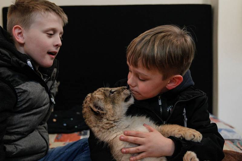 Zoopark Berousek zahájil sezonu s několika novinkami.