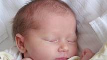 Mamince Pavle Bílé z Nových Zákup se 21. listopadu ve 22:07 hod. narodila dcera Nela Šmejkalová. Měřila 49 cm a vážila 3,11 kg.