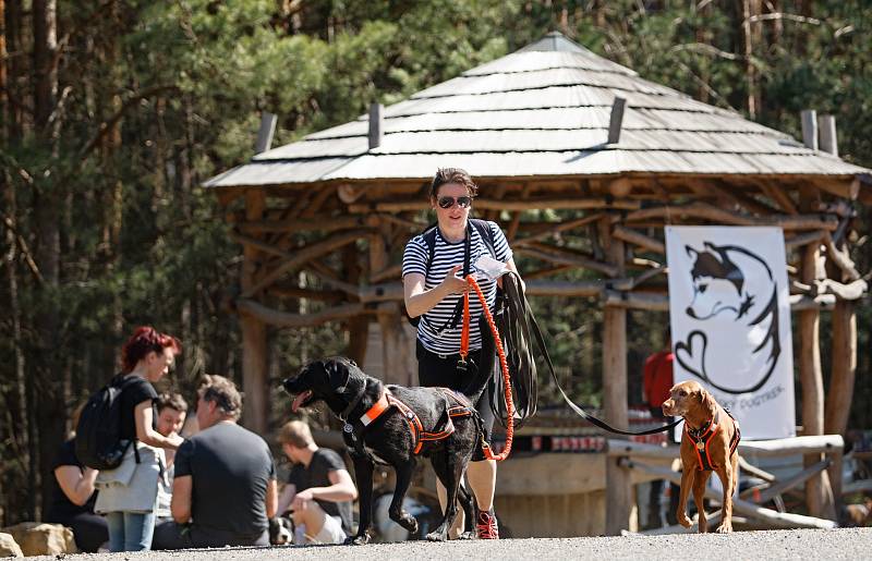 Ve Stráži pod Ralskem se konal orientační pochod se psy - Strážský dogtrek. Na trasu dlouhou 12 km se přihlásilo na dvě stovky účastníků.