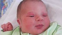 Mamince Lence Švarcové z Velkého Grunova se 28. března ve 23:28 hodin narodil syn Jakub Švarc. Měřil 51 cm a vážil 3,76 kg.
