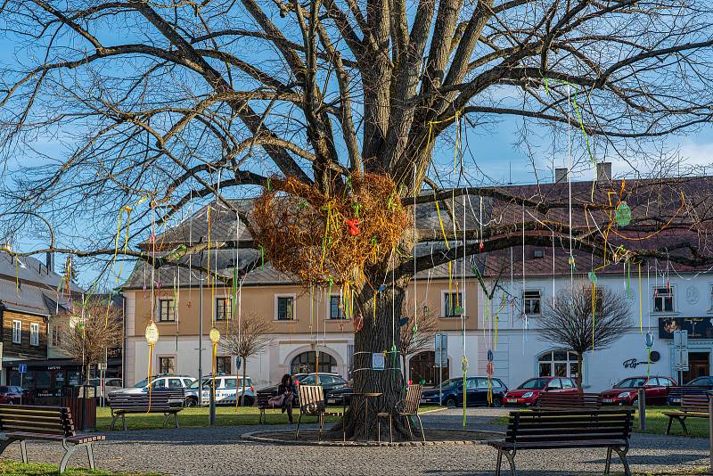 Borská „Smetanka“ vyzdobila korunu lípy.