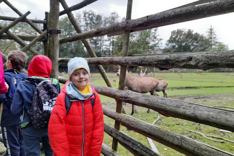 Podzimní výlet do obory ve Skalici.