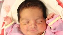 Rodičům Žanetě Ferencové a Martinu Pollákovi z Varnsdorfu se v neděli 15. května v 1:38 hodin narodila dcera Amálie Ferencová. Měřila 48 cm a vážila 3,19 kg.