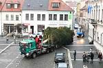 Vánoční strom pro Českou Lípu