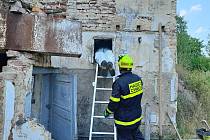 Ve Cvikově spadl čáp do komína, pomohli hasiči.